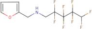 N1-(2-furylmethyl)-2,2,3,3,4,4,5,5-octafluoropentan-1-amine