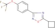 5-cyclobutyl-3-[4-(trifluoromethoxy)phenyl]-1,2,4-oxadiazole