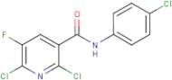 N-(4-Chlorophenyl)-2,6-dichloro-5-fluoronicotinamide