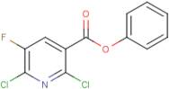 phenyl 2,6-dichloro-5-fluoronicotinate