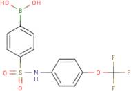 4-{[4-(Trifluoromethoxy)phenyl]sulphamoyl}benzeneboronic acid