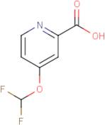 4-(Difluoromethoxy)pyridine-2-carboxylic acid