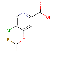 5-Chloro-4-(difluoromethoxy)pyridine-2-carboxylic acid