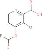 3-Chloro-4-(difluoromethoxy)pyridine-2-carboxylic acid