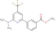 Methyl 3-[2-(dimethylamino)-4-(trifluoromethyl)pyridin-6-yl]benzoate