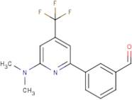 3-[6-Dimethylamino-4-(trifluoromethyl)pyridin-2-yl]benzaldehyde