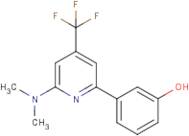 3-[6-Dimethylamino-4-(trifluoromethyl)pyridin-2-yl]phenol