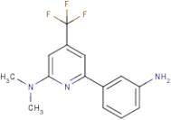 3-[2-(Dimethylamino)-4-(trifluoromethyl)pyridin-6-yl]aniline