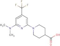 1-[6-(Dimethylamino)-4-(trifluoromethyl)pyridin-2-yl]piperidine-4-carboxylic acid