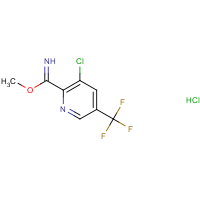 Methyl 3-chloro-5-(trifluoromethyl)pyridine-2-carboximidate hydrochloride