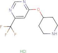 4-(Piperidin-4-yloxy)-6-(trifluoromethyl)pyrimidine hydrochloride