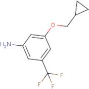 3-(Cyclopropylmethoxy)-5-(trifluoromethyl)aniline