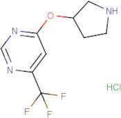 4-(Pyrrolidin-3-yloxy)-6-(trifluoromethyl)pyrimidine hydrochloride