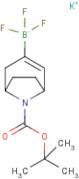 Potassium 8-boc-8-azabicyclo[3.2.1]oct-2-ene-3-trifluoroborate