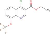 4-Chloro-8-(trifluoromethoxy)quinoline-3-carboxylic acid ethyl ester