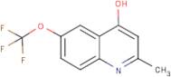 4-Hydroxy-2-methyl-6-trifluoromethoxyquinoline