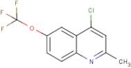 4-Chloro-2-methyl-6-trifluoromethoxyquinoline