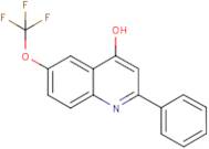 4-Hydroxy-6-trifluoromethoxy-2-phenylquinoline