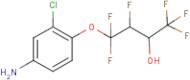 4-(3-Hydroxy-1,1,2,4,4,4-hexafluorobutoxy)-3-chloroaniline