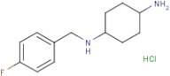 N-(4-Fluoro-benzyl)-cyclohexane-1,4-diamine hydrochloride