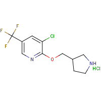 3-Chloro-2-(pyrrolidin-3-ylmethoxy)-5-trifluoromethyl-pyridine hydrochloride