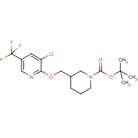 3-(3-Chloro-5-trifluoromethyl-pyridin-2-yloxymethyl)-piperidine-1-carboxylic acid tert-butyl ester