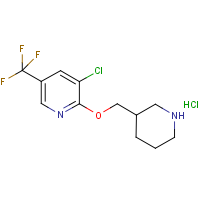 3-Chloro-2-(piperidin-3-ylmethoxy)-5-trifluoromethyl-pyridine hydrochloride