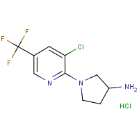 1-(3-Chloro-5-trifluoromethyl-pyridin-2-yl)-pyrrolidin-3-ylamine hydrochloride