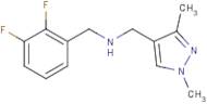 1-(2,3-Difluorophenyl)-N-[(1,3-dimethyl-1H-pyrazol-4-yl)methyl]methanamine