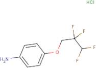 4-(2,2,3,3-Tetrafluoropropoxy)aniline hydrochloride