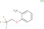 2-(2,2,2-Trifluoroethoxy)aniline hydrochloride