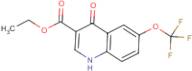 Ethyl 4-oxo-6-(trifluoromethoxy)-1,4-dihydroquinoline-3-carboxylate