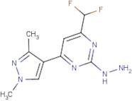4-(Difluoromethyl)-6-(1,3-dimethyl-1H-pyrazol-4-yl)-2-hydrazinylpyrimidine