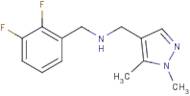 1-(2,3-Difluorophenyl)-N-[(1,5-dimethyl-1H-pyrazol-4-yl)methyl]methanamine