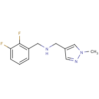 1-(2,3-Difluorophenyl)-N-[(1-methyl-1H-pyrazol-4-yl)methyl]methanamine