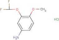 3-(Difluoromethoxy)-4-methoxyaniline hydrochloride