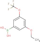 3-Ethoxy-5-(trifluoromethoxy)phenylboronic acid
