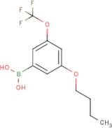 3-Butoxy-5-(trifluoromethoxy)phenylboronic acid