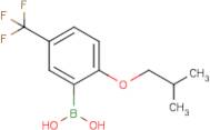 2-Isobutoxy-5-(trifluoromethyl)phenylboronic acid