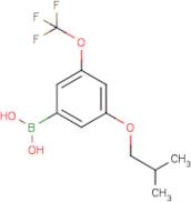 3-Isobutoxy-5-(trifluoromethoxy)phenylboronic acid