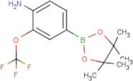 4-Amino-3-(trifluoromethoxy)phenylboronic acid, pinacol ester