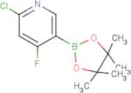 2-Chloro-4-fluoropyridine-5-boronic acid, pinacol ester