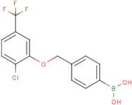 4-[(2'-Chloro-5'-(trifluoromethyl)phenoxy)methyl]phenylboronic acid