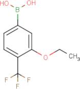 3-Ethoxy-4-(trifluoromethyl)phenylboronic acid