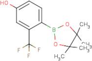 4-Hydroxy-2-(trifluoromethyl)phenylboronic acid, pinacol ester
