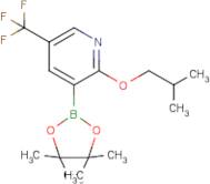 2-Isobutoxy-5-(trifluoromethyl)pyridine-3-boronic acid, pinacol ester