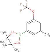 3-Methyl-5-(trifluoromethoxy)phenylboronic acid, pinacol ester