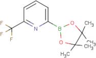 6-(Trifluoromethyl)pyridine-2-boronic acid, pinacol ester