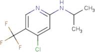 (4-Chloro-5-trifluoromethyl-pyridin-2-yl)-isopropyl-amine