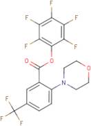 Perfluorophenyl 2-(morpholin-4-yl)-5-(trifluoromethyl)benzoate